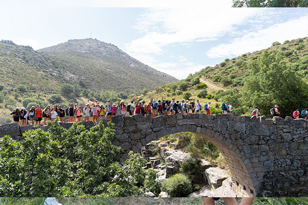 Campamentos de verano